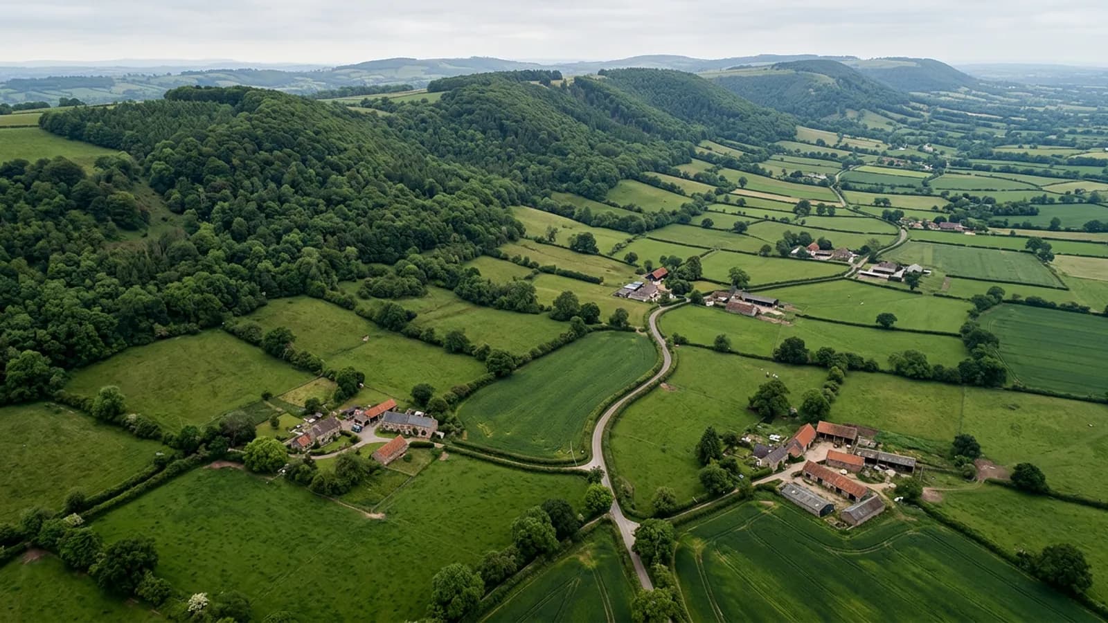 Wooded scarp slopes of the Blackdown Hills falling to a flat vale of hedged farmland with scattered farmsteads under red clay tiled roofs